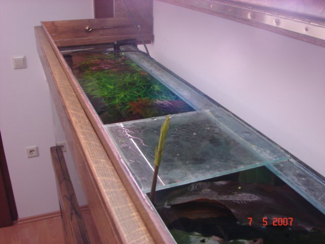 Akvarij maj 2007 - foto
