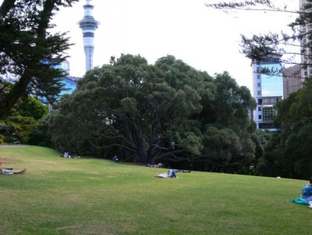 21.3.2006, Albert&Victoria Park, Auckland - foto