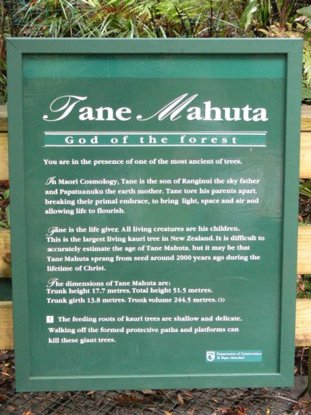28.3.-11.4.2006, Paihia, Waitangi, Kerikeri,  - foto povečava