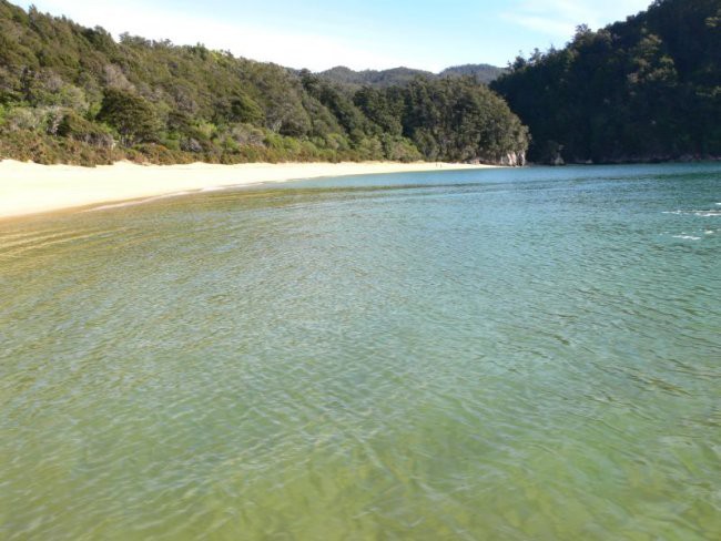 2.,3.5.2006 Nelson, Abel Tasman NP - foto povečava