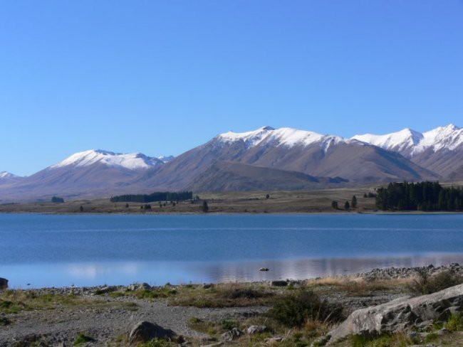 4.5.-8.5.2006, Kaikoura, Hanmer Springs, Akar - foto povečava