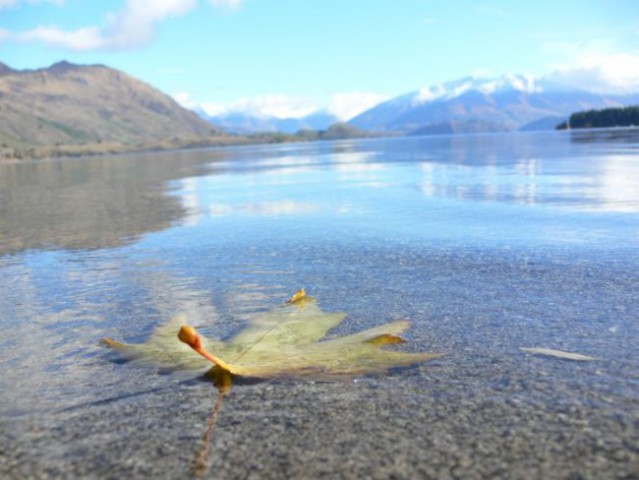 11.-14.5.,Wanaka,Hokitika,Arthur's pass - foto