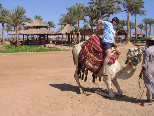 Egipt-2009 - foto