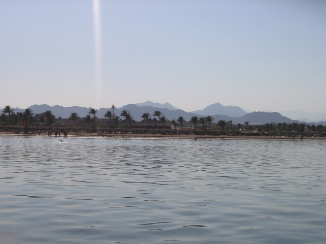 Egipt-2009 - foto