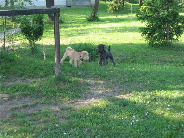 Alf--srečanje 12.05.06 - foto povečava