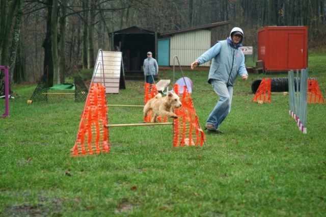 Alf tečaj september 2006 - foto