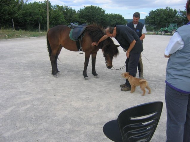 Alf poletje 2006 - foto