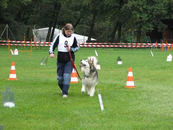 KD Maribor, 14.9.2008 - foto povečava