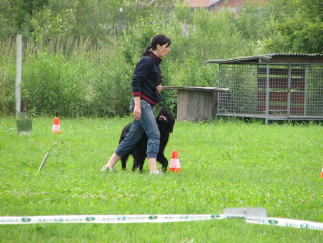 Izpiti, KD Krim 16.6.2007 - foto