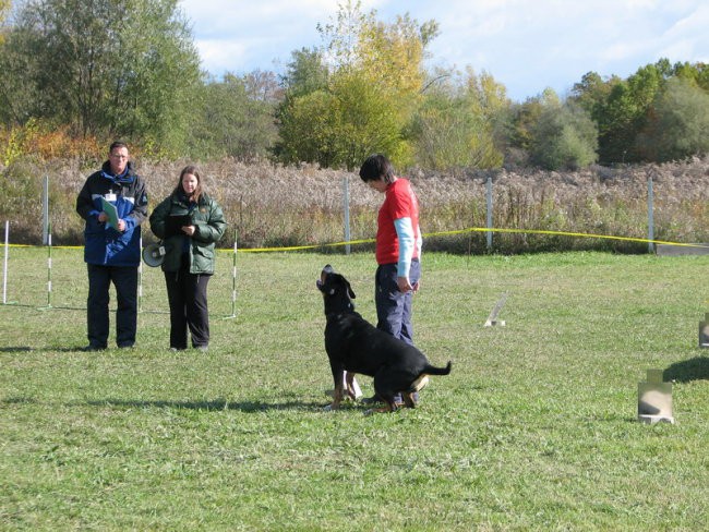 6. Državna tekma RO, Krim 21.10.2007 - foto povečava