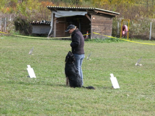 6. Državna tekma RO, Krim 21.10.2007 - foto