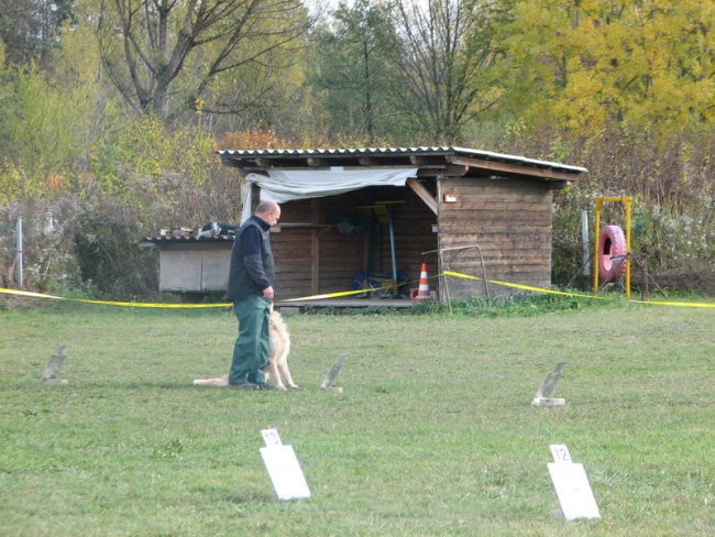 6. Državna tekma RO, Krim 21.10.2007 - foto povečava