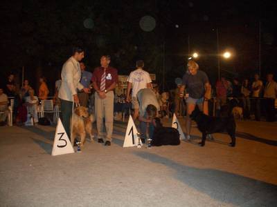Crna Gora 25.06.2005.-BOG III