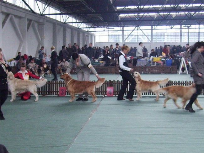 CACIB ZAGRB 3.03.2007.