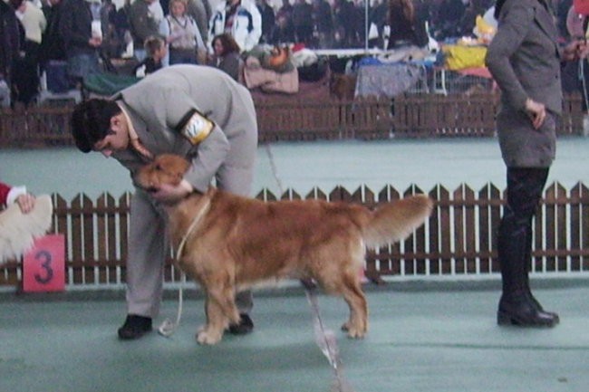 CACIB ZAGRB 3.03.2007.