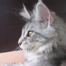 Profil naše Lini