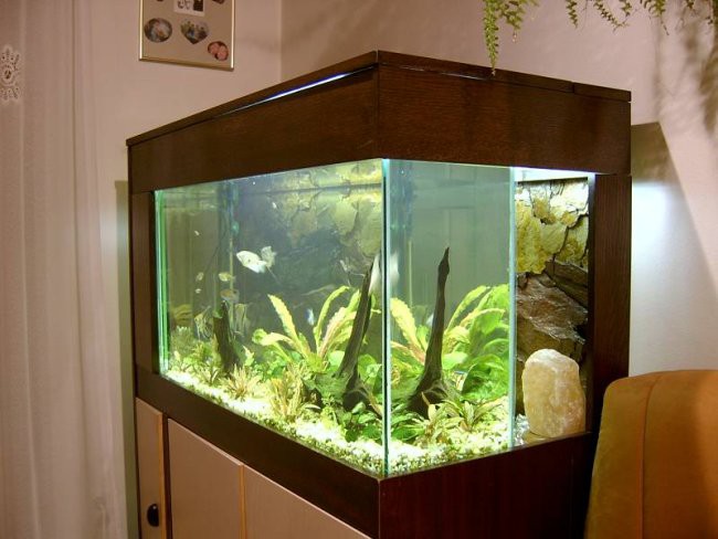 Akvarij, postavljen v prostor