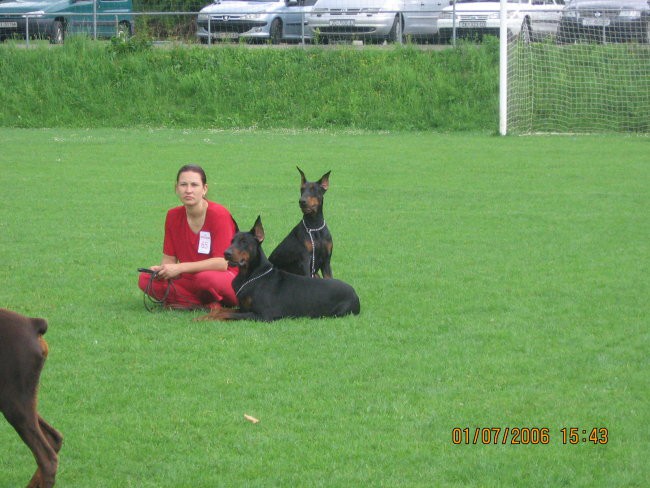 EUROPEAN DOBERMANN TROPHY WINNER SHOW 2006 - foto povečava