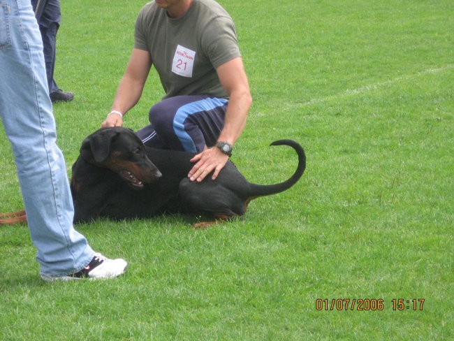 EUROPEAN DOBERMANN TROPHY WINNER SHOW 2006 - foto povečava