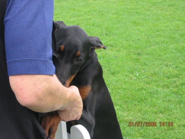 EUROPEAN DOBERMANN TROPHY WINNER SHOW 2006 - foto povečava