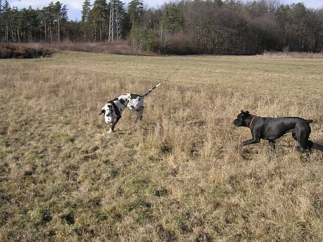 MB srečanje 22.1.2005 - foto