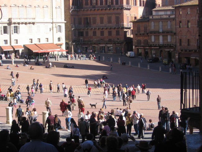 Trg Piazza del Campo v Sieni, gotsko-renesančnem mestu obdanem z olivnimi nasadi, ki leži 