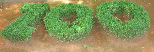 ZOO Zagreb - foto