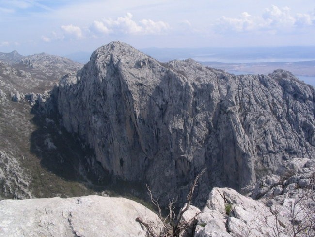 Maniti kuk -Varjanta - foto povečava