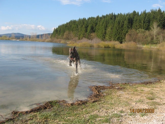 Cerkniško jezero - foto povečava