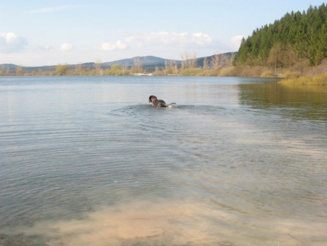 Cerkniško jezero - foto