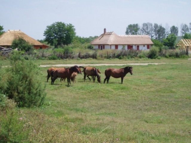 Romunija 2008 - foto