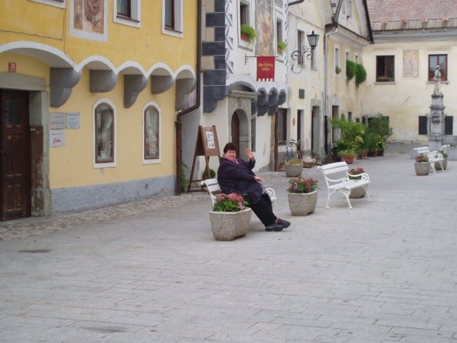 Gorenjska 2008 - foto povečava