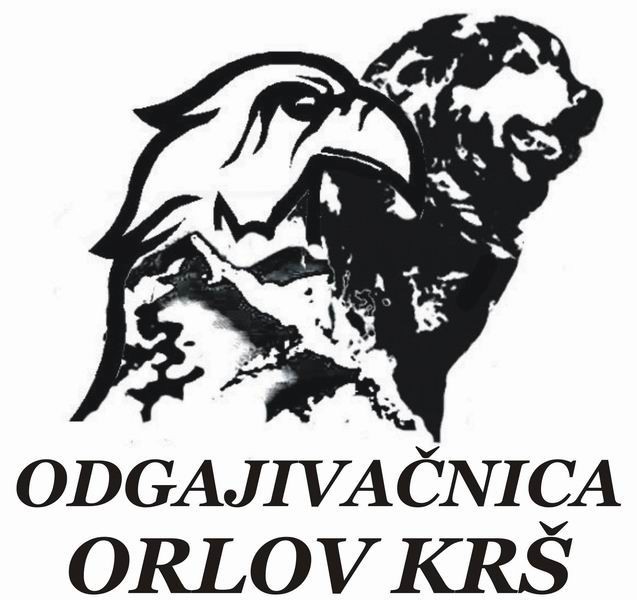 Orlovkrs - foto