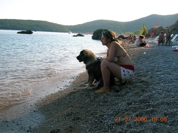 Pogled