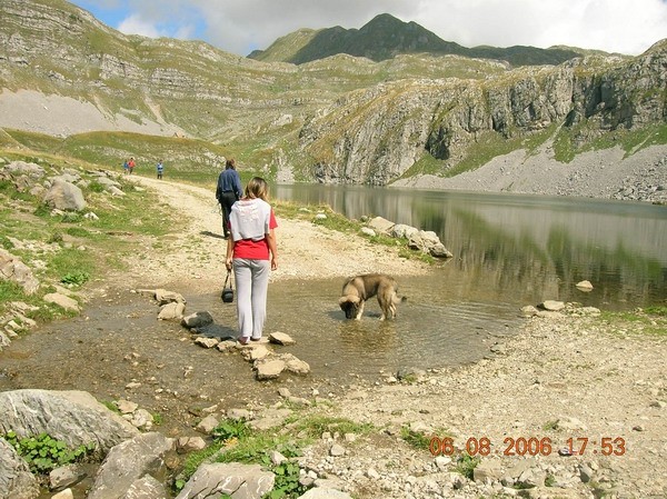 Mura od MIV-a - foto povečava