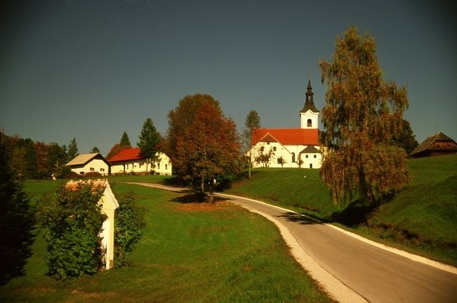 Smihel - foto povečava