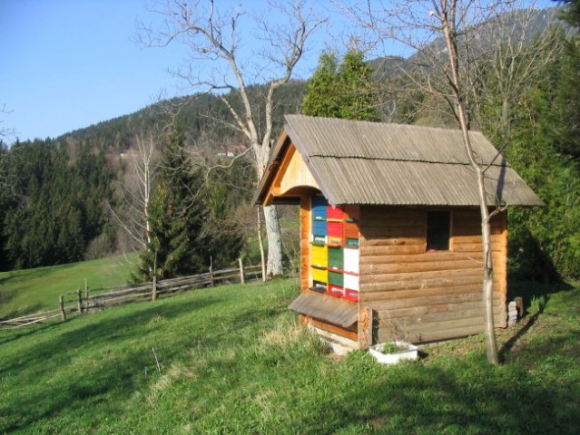 Turistična kmetija Jesevnik - foto