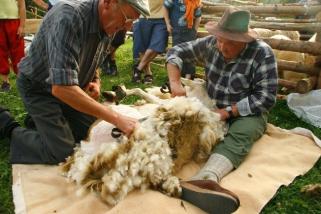 30. ovčarski praznik - utrinki - foto