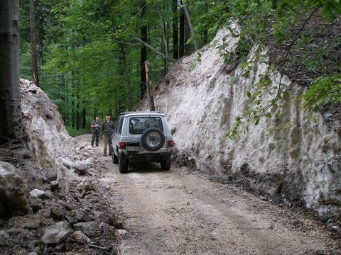 2. junija so z bagrom odkopali plaz   nad Žagano pečjo