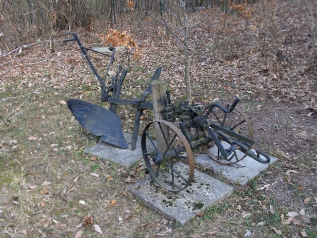 Zoo vrt Schönbrun - foto povečava