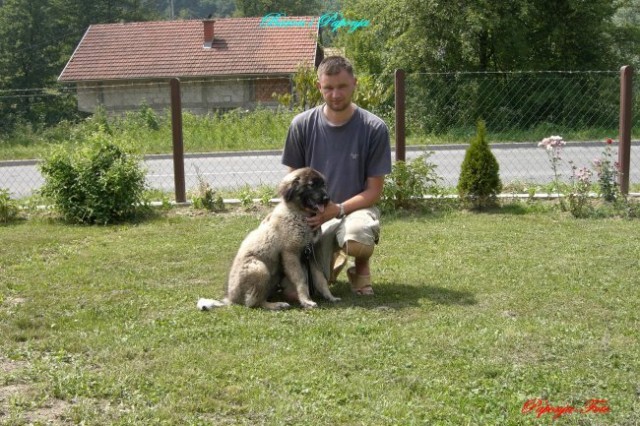 Baron-Silni-Cetiri mjeseca - foto