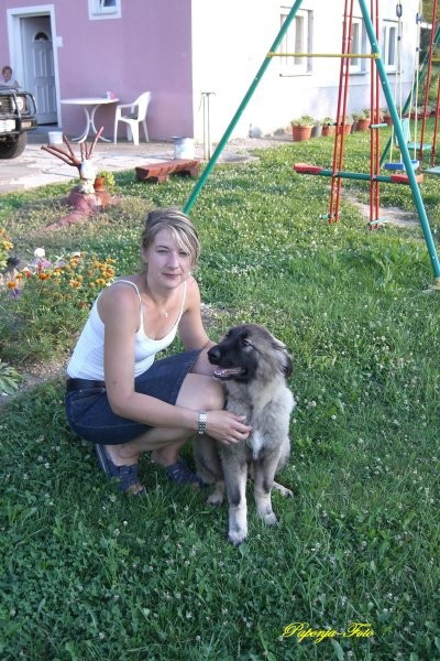Baron Silni-Pet mjeseci - foto