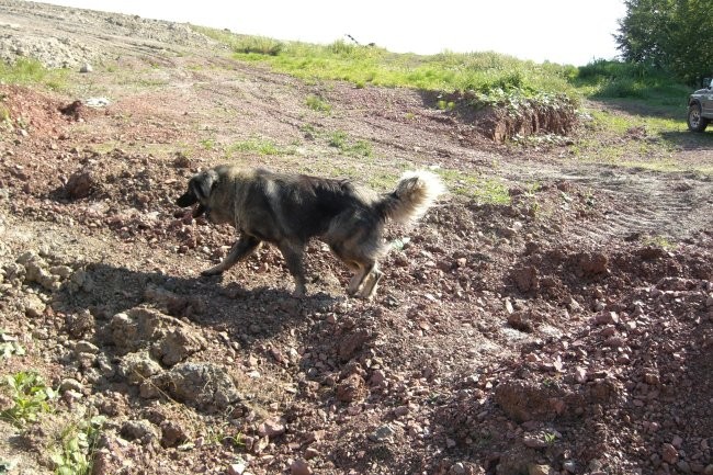 Baron 2007 - foto povečava