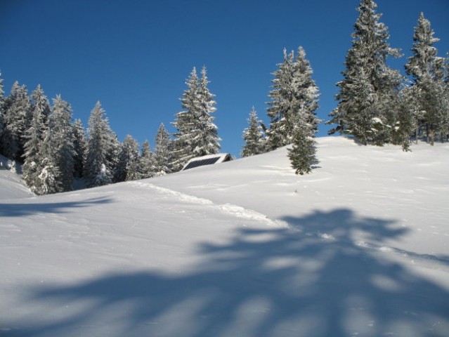 Menina (zima 2006) - foto