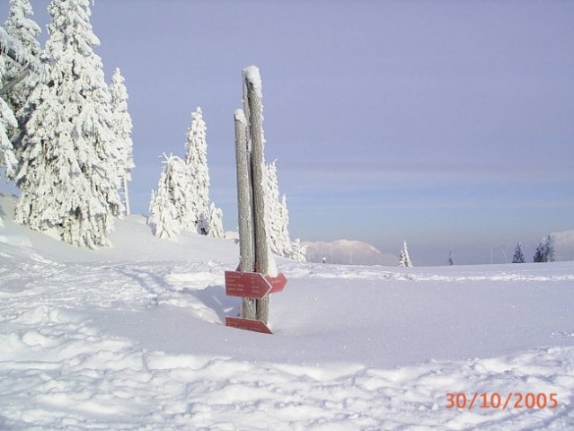 Menina (zima 2006) - foto