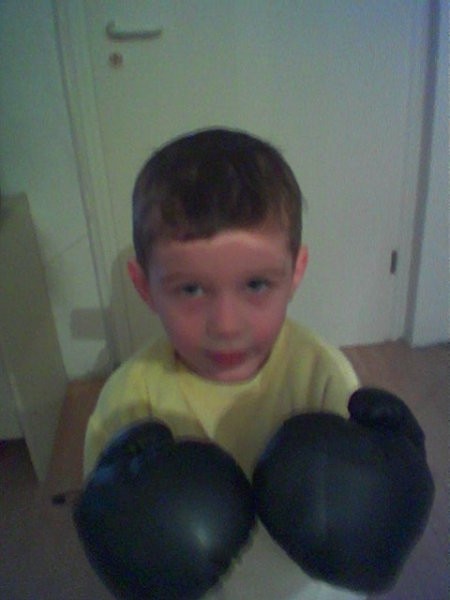 Naš mali 3 letni boksar