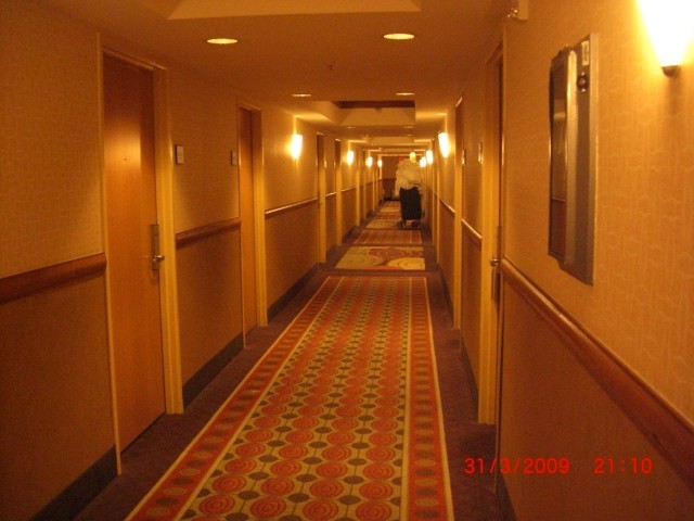 America 2009 - foto
