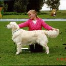 Retriever Speciality Show Slovenia 2005: Best Junior in class, BIS Junior