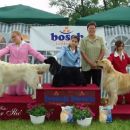 Cacib Varazdin 2006: Junior Handling 2nd place