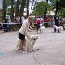 Cac Sinj 2006: Aaron&Aba competing for Best Brace